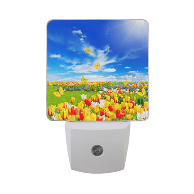 

ALAZA LED Night Light With Smart Dusk To Dawn SensorOld Vintage Camera Plug In Night Light