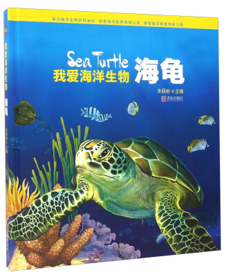 

我爱海洋生物 海龟