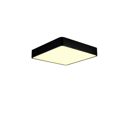 

JX759 - 50W - WW Warm White Ceiling Lamp AC 220V