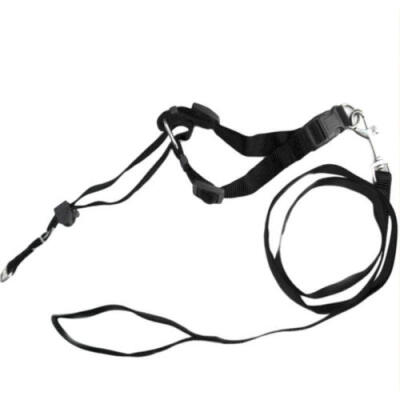 

AU Dog Supplies-Muzzle-Style-Head-Collar-Pulling-Halter-Training-Reigns Leashes