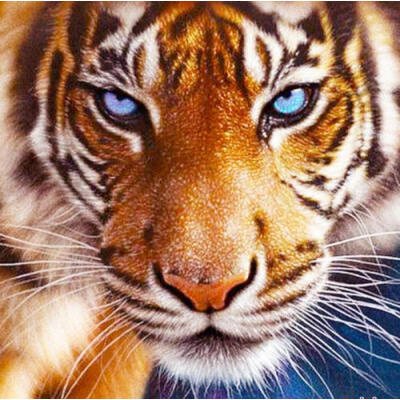 

5D DIY Diamond Painting Tiger Animal Embroidery Cross Crafts Stitch Home Deor UK