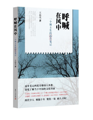 

呼喊在风中：一个博士生的返乡笔记