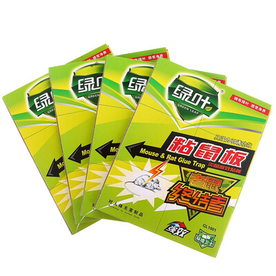 

Green leaf stickers mouse rodent control rodents 40g 4 only installed GL1001