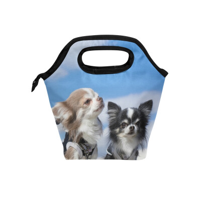 

Lunch Bag Cats And Blue Sky Tote Travel Picnic Insulated Handbags Portable Zipper Lunch Bag Box