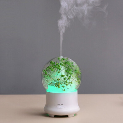 

Creative eternal flower aromatherapy machine direct charging source ultrasonic humidifier household gifts fragrance expanding mach
