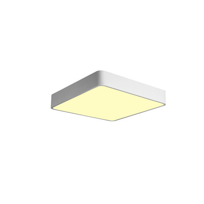 

JX759 - 50W - WW Warm White Ceiling Lamp AC 220V