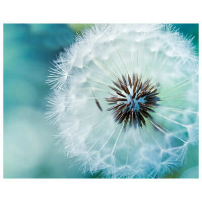 

UpperX Full Round Drill Diamond Embroidery Dandelion 5D DIY Diamond Painting Cross Stitch Rhinestone Home Decoration Gift
