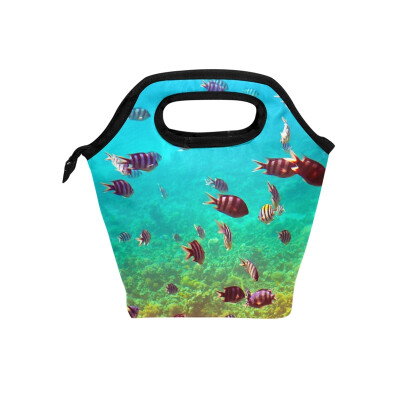 

Lunch Bag Undersea World Tote Travel Picnic Insulated Handbags Portable Zipper Lunch Bag Box