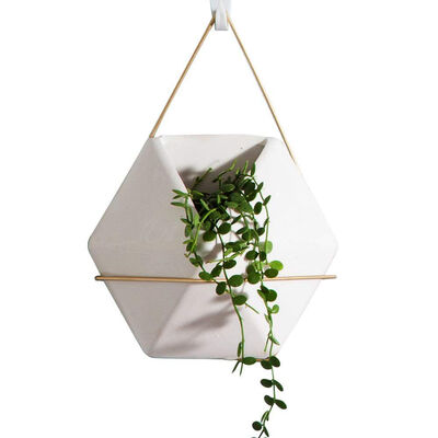 

UpperX Modern Hanging Planter Vase Geometric Wall Decor Container - Great For Succulent Plants Air Plant Faux Plants hexagon