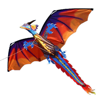 

140cm X 120cm Outdoor Dragon Kite Single Line Flying Kite with Tail 100m Flying Line for Kids