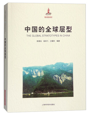 

中国的全球层型
