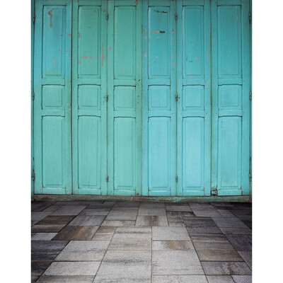

Blue Door Photo Backdrop 57FT Vinyl Fabric Cloth Digital Printing Photo Background for Birthday s-2247