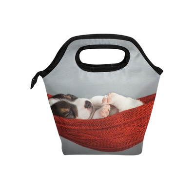

Insulated Lunch Tote Bag Swing Dog Travel Picnic Lunch Handbags Portable Zipper Lunch Bag Box