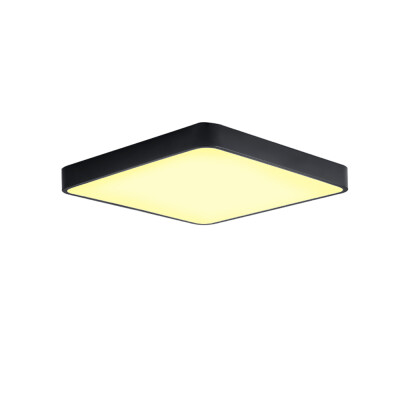 

JX231H - 24W - WW Warm White Ceiling Light AC 220V