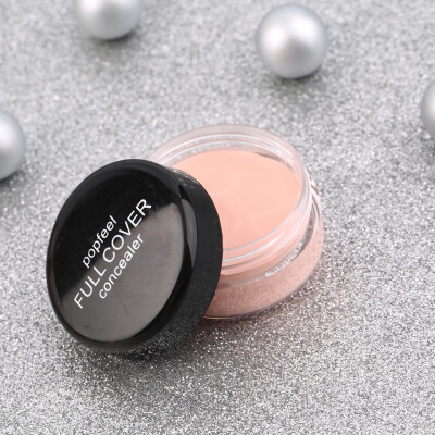 

Hide Blemish Face Eye Lip Creamy Concealer Stick Make-up Concealer Cream FC01