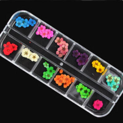 

2436Pcs 12 Colors Real Dried Flowers DIY Nail Art Tips Stickers Manicure Decor
