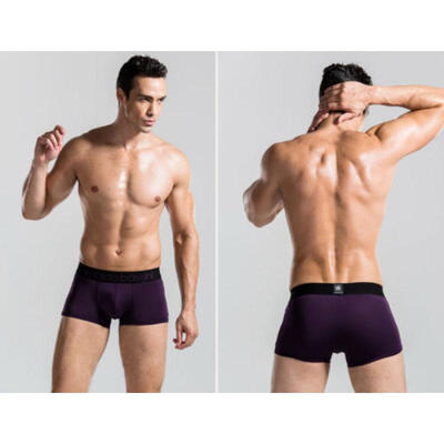 

Shorts Gym Bodybuilding Running Training Fitness Mens Workout Sport Cotton Flex
