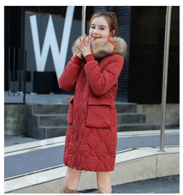 

Cotton womens long section 2018 winter new down cotton pad Korean version of the thick warm loose hooded jacket