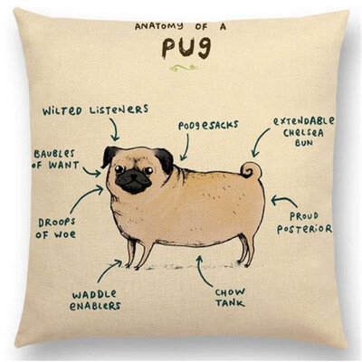 

Funny Animals Anatomy Flamingo Fox Dachshund Giraffe Hedgehog Lion Pug Squirrel Cushion Cover Sofa Throw Pillow Case