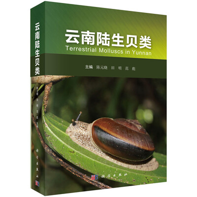 

云南陆生贝类