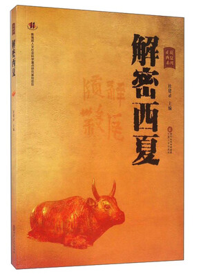 

解密西夏