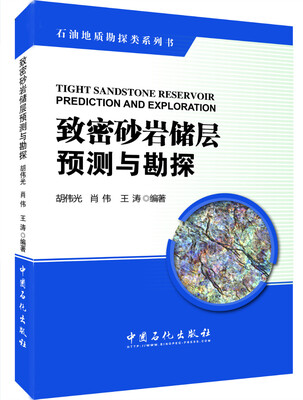 

致密砂岩储层预测与勘探