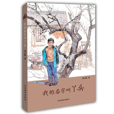 

刘玉栋长篇少年成长小说·小荷工作坊原创儿童文学我的名字叫丫头