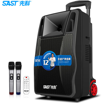 

SAST A69 12-inch square dance audio rod speaker outdoor portable audio Bluetooth audio high-power home outdoor live karaoke audio double microphone version