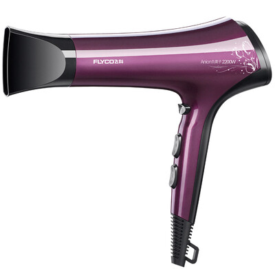 

Flyco FH6273 Hair Dryer Purple