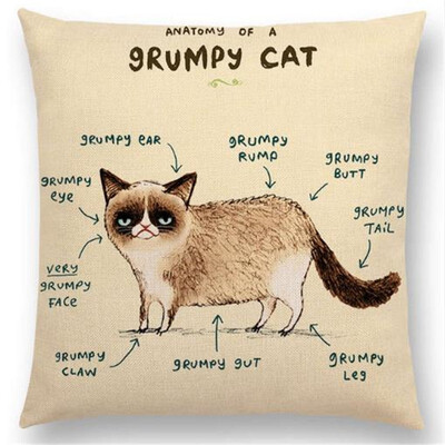 

Funny Animals Anatomy Flamingo Fox Dachshund Giraffe Hedgehog Lion Pug Squirrel Cushion Cover Sofa Throw Pillow Case
