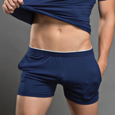 

US Men Soft Cotton Underwear Briefs Panties Homewear Underpants Shorts