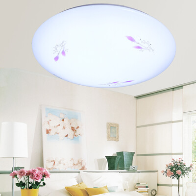 

Jingdong Supermarket Meite LED Ceiling Lamp Restaurant Lamp Bedroom Light Balcony Aisle Guanuan 24w Blueberry MT-LED24WXJ