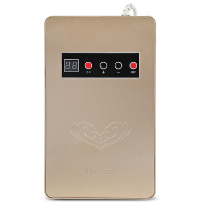 

LR - Z128 Multifunctional Ozone Food Fruit Sterilization Detoxification Machine