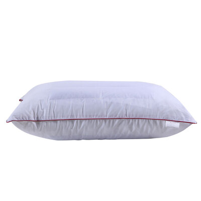 

Victoria home textile single side buckwheat pillow