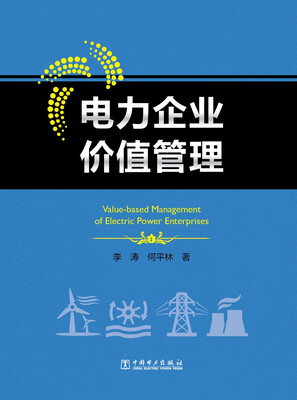 

电力企业价值管理