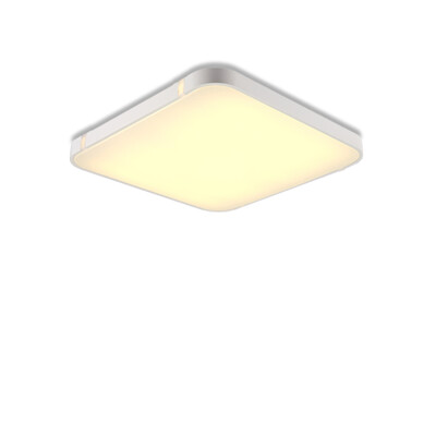 

I507B - 36W - WW Warm White Ceiling Light AC 220V