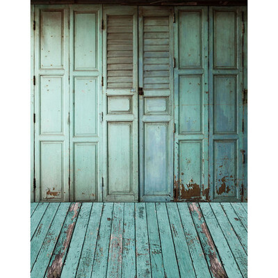 

Blue Door Photo Backdrop 57FT Vinyl Fabric Cloth Digital Printing Photo Birthday Background s-2331