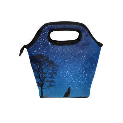 

Lunch Bag Cold Moonlight Tote Travel Picnic Insulated Handbags Portable Zipper Lunch Bag Box