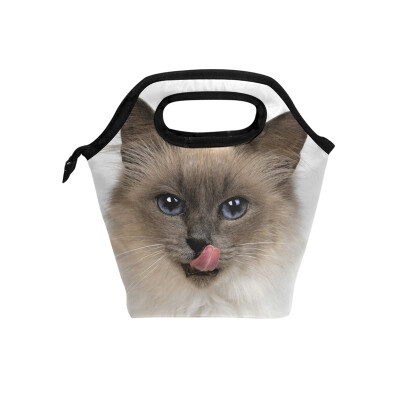 

Insulated Lunch Tote Bag Cute Cat Travel Picnic Lunch Handbags Portable Zipper Lunch Bag Box