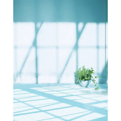 

Boring Morning Photo Backdrop 57FT Vinyl Fabric Cloth Digital Printing Photo Background s-2346