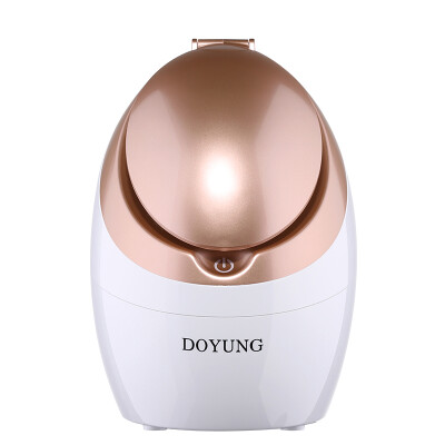 

East with DOYUNG DY-Z1083 nano-ion replenishment moisturizing steaming device beauty instrument