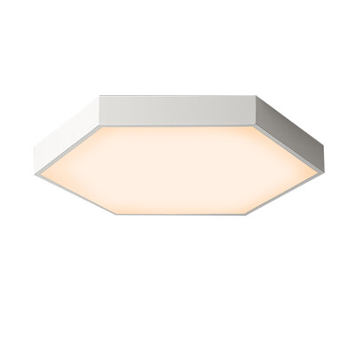

JX277 - 24W - WJ Promise Dimming Ceiling Lamp AC 220V