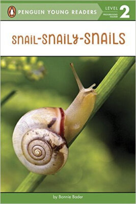 

Snail-Snaily-Snails