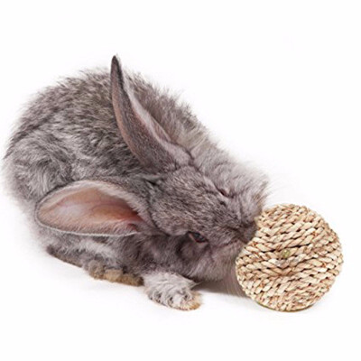 

Fiber Ball for Rabbit - Improves Dental Health