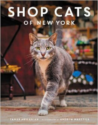 

Shop Cats of New York