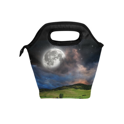 

Insulated Lunch Tote Bag Artistic Earth Travel Picnic Lunch Handbags Portable Zipper Lunch Bag Box