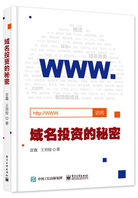 

域名投资的秘密
