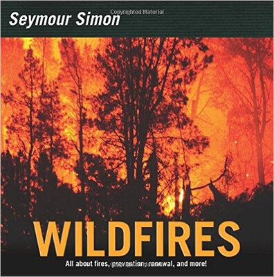

Wildfires