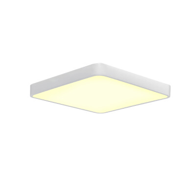 

JX231 - 40W - WW Warm White Ceiling Lamp AC 220V