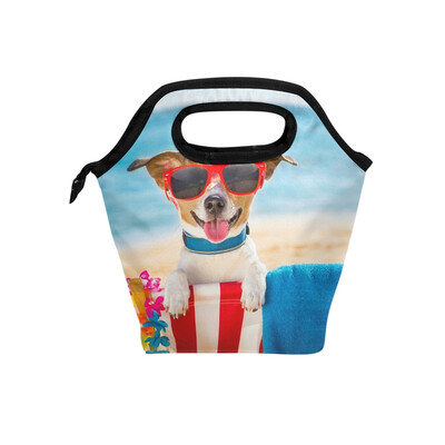 

Lunch Bag Tote Bag Beach Dog Travel Picnic Organizer Lunch Holder Handbags Lunch Bag Box for Office
